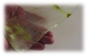 Gel d’aloe vera cosmetique